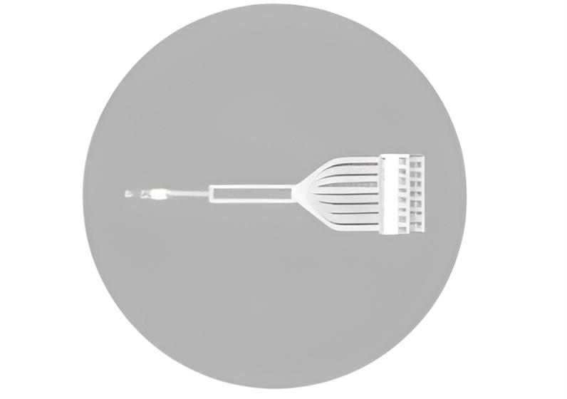 QQ截图20250611145915